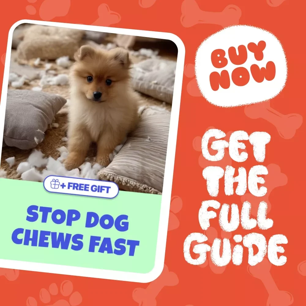 Stop Dog Chews Fast: The Ultimate Guide on What to Do When Your Dog Chews Furniture
