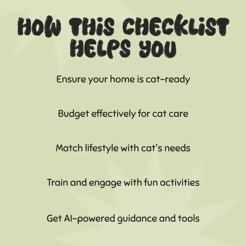 Checklist Before Bringing a Cat Home – What to Consider Before Getting a Cat