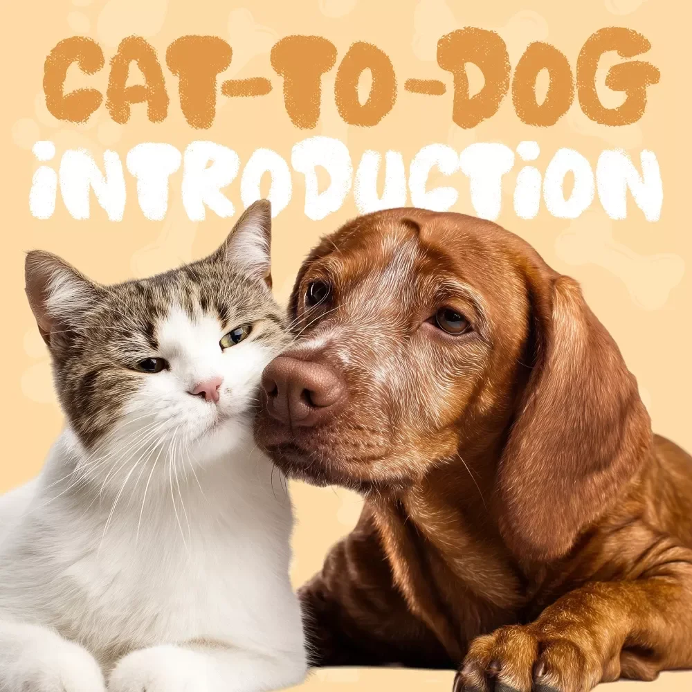 Cat-to-Dog Introduction Checklist | Printable Pet Owner Guide for Calm, Safe First Meetings | What to Do When Introducing Cats to Dogs | Digital Download PDF