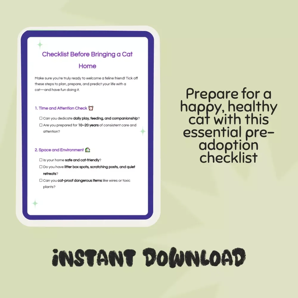 Checklist Before Bringing a Cat Home – What to Consider Before Getting a Cat