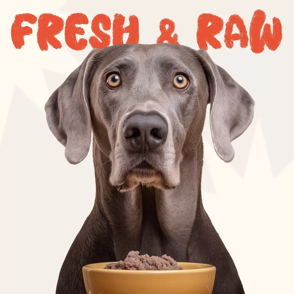 Raw & Real: A Pet Lover’s Guide to Healthy Raw Food Diets | Complete eBook for Dog & Cat Nutrition, Raw Feeding Transition Plan, Meal Prep, and Natural Pet Health Guide | Digital Download for Pet Owners