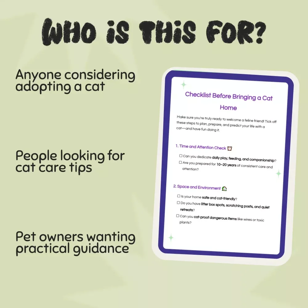 Checklist Before Bringing a Cat Home – What to Consider Before Getting a Cat