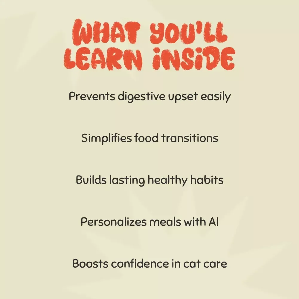 Safely Transitioning Cats to New Food | How to Transition Cats to New Food Safely | Comprehensive Cat Nutrition Ebook & Step-by-Step Guide