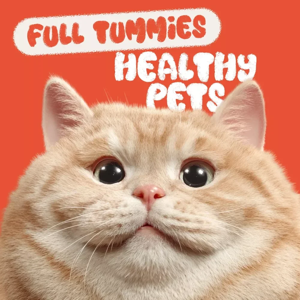 Full Tummies, Healthy Pets: A Practical Guide to Overeating in Pets - eBook for Pet Owners