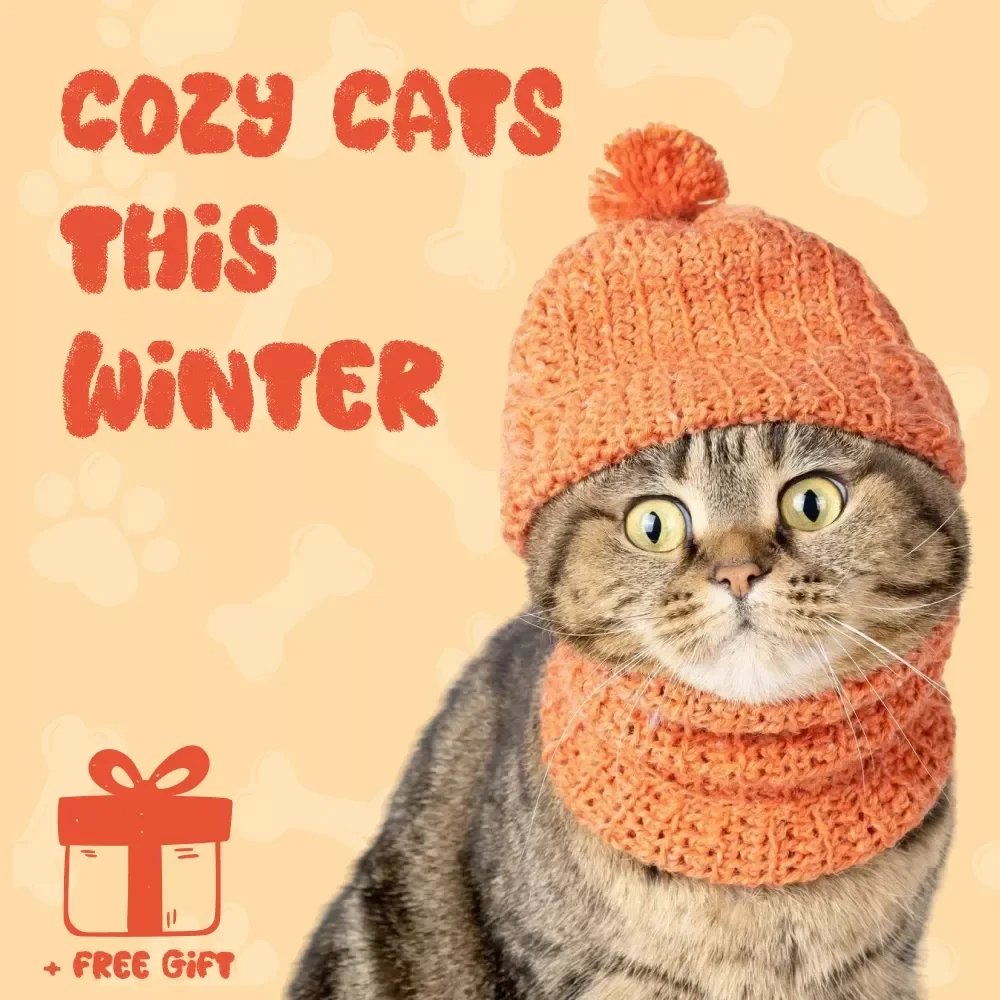 Cozy Cats This Winter: The Ultimate Guide for Keeping Your Feline Friends Warm & Happy All Season Long