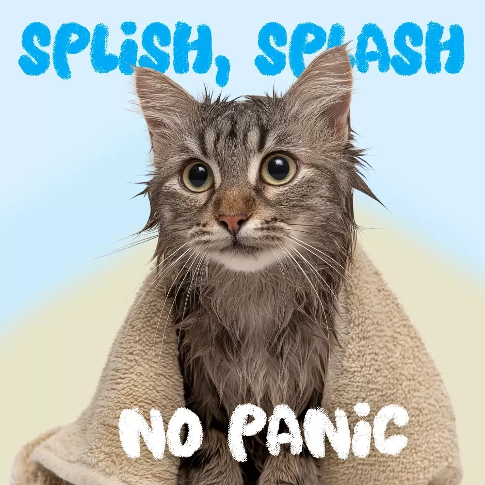 Splish, Splash, No Panic: Gentle Solutions for Cats Who Hate Baths - A Digital Guide for Stress-Free Cat Bathing