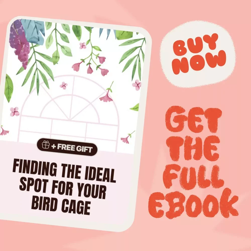 Finding the Ideal Spot for Your Bird Cage | Where Should You Place a Bird Cage | Complete Bird Cage Placement eBook Guide for Every Home