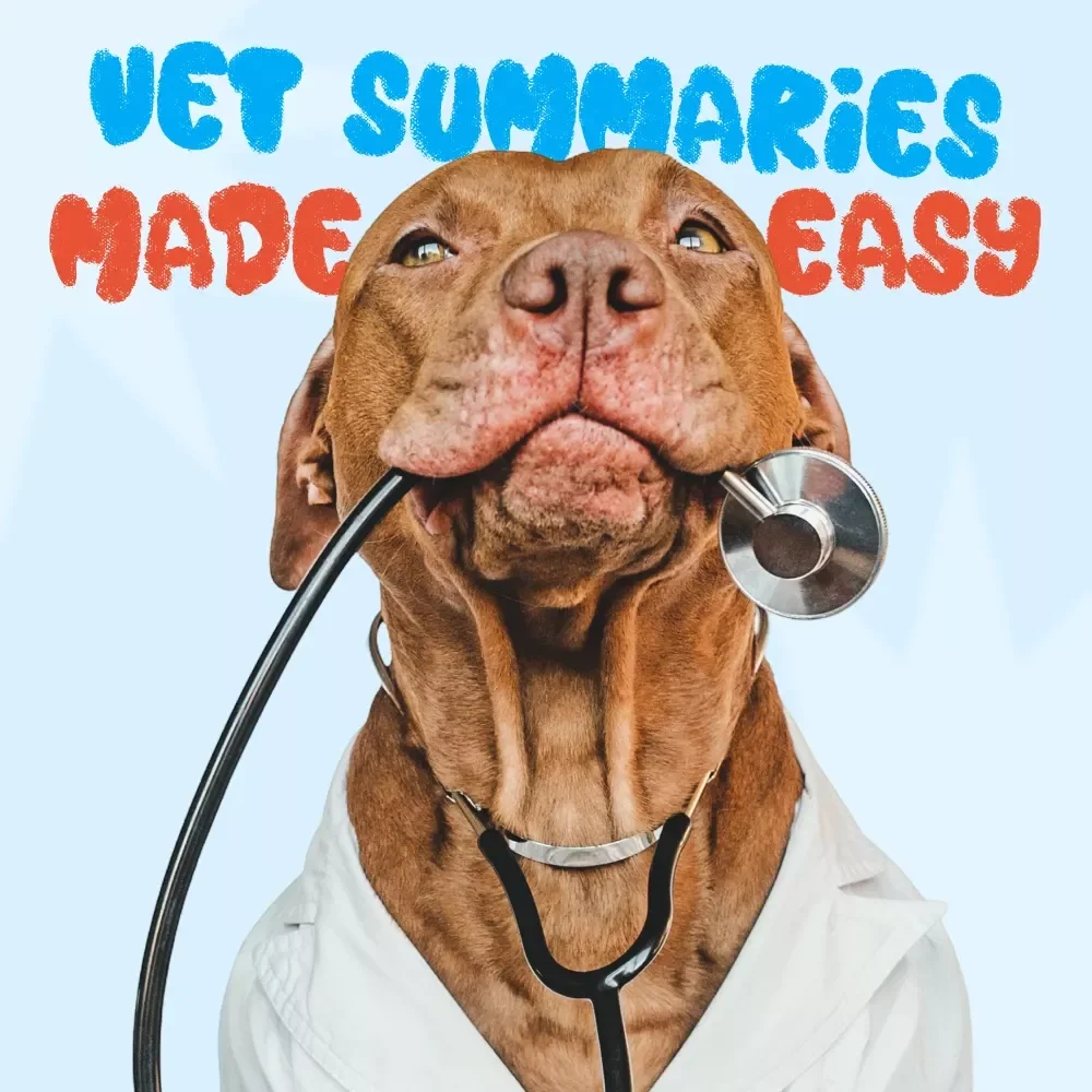 Vet Summaries Made Easy: Your AI Writing Checklist - eBook, Guide, Checklist for Veterinary Practices