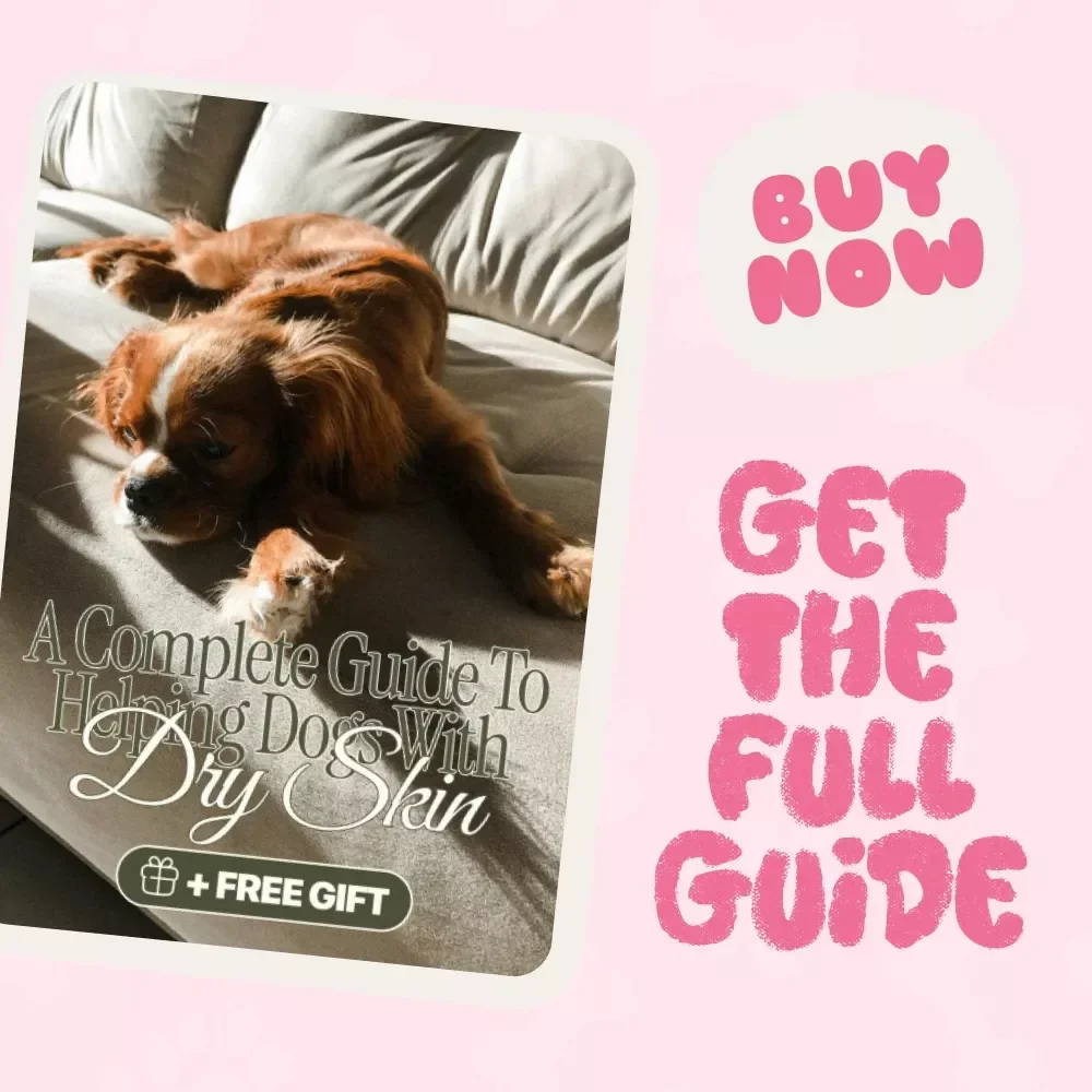 Soothing the Scratch: A Complete Guide to Helping Dogs with Dry Skin | Digital Pet Care Guide for Dog Owners | What to Do When Your Dog Has Dry Skin | Dog Health & Wellness eBook