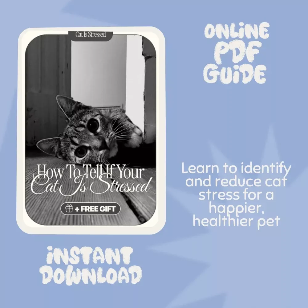 How to Tell if Your Cat is Stressed: The Ultimate Guide to Understanding and Reducing Cat Stress