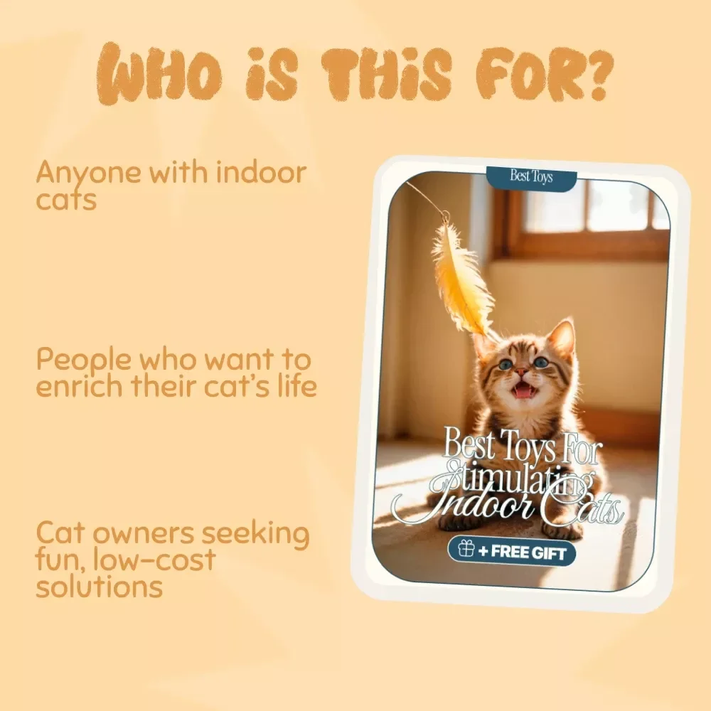 Best Toys for Stimulating Indoor Cats - Ultimate Guide to Keeping Your Feline Active & Engaged