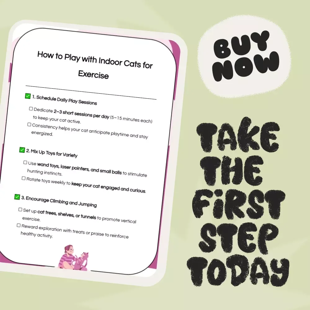 How to Play with Indoor Cats for Exercise: Fun & Easy Checklist to Keep Your Cat Active