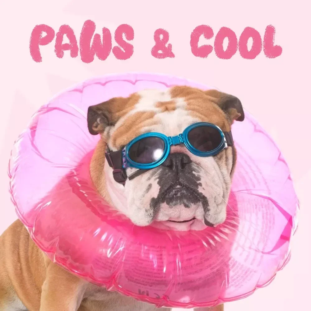 Paws and Cool: Keeping Your Dog Comfortable in Hot Weather - Essential Guide to Summer Safety for Dogs