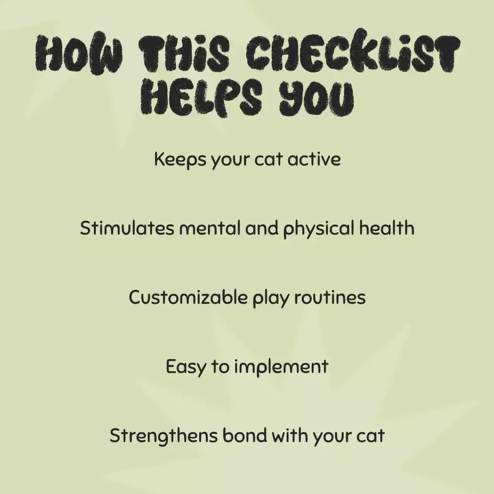 How to Play with Indoor Cats for Exercise: Fun & Easy Checklist to Keep Your Cat Active