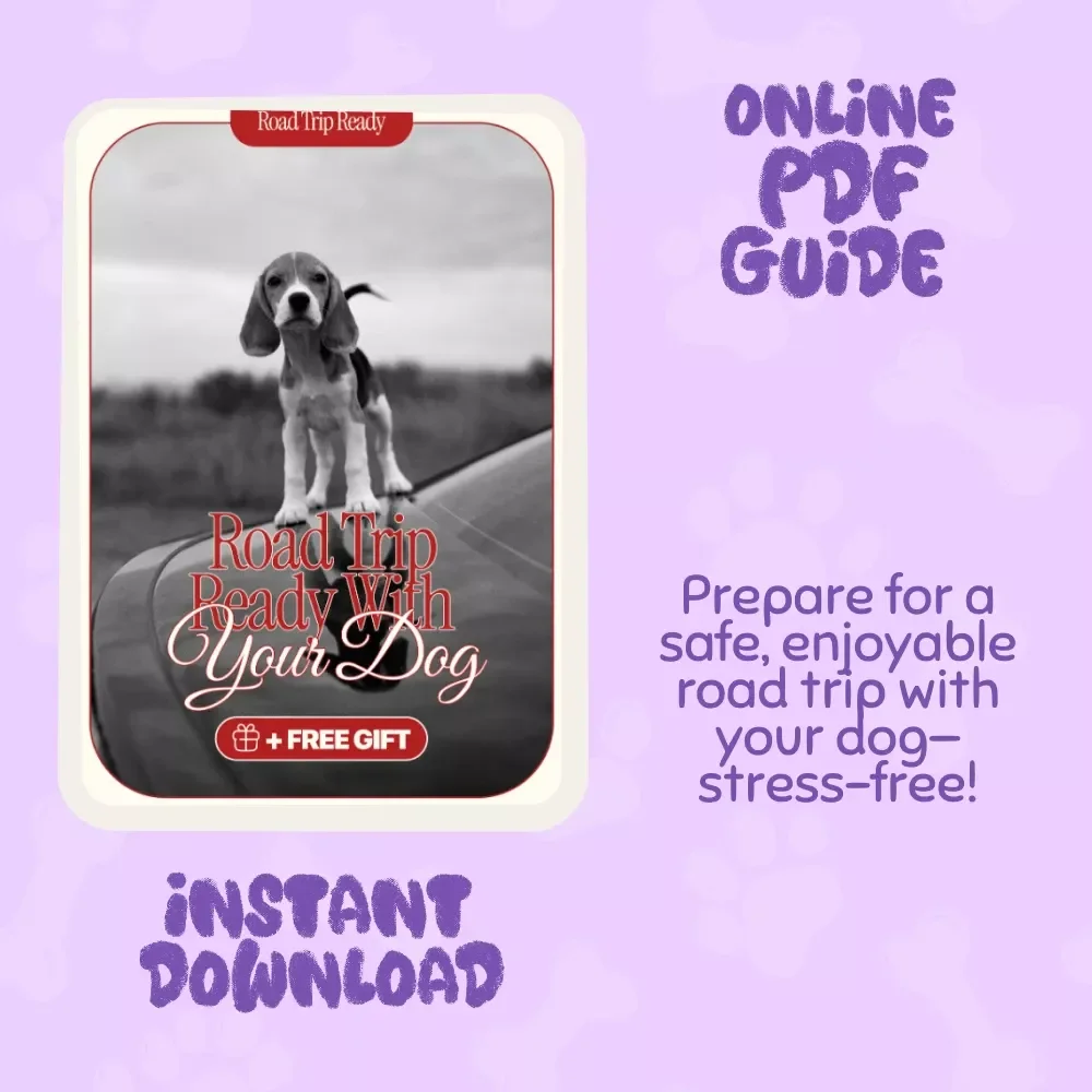 Road Trip Ready with Your Dog: How to Prepare Your Dog for a Long Car Trip eBook Guide