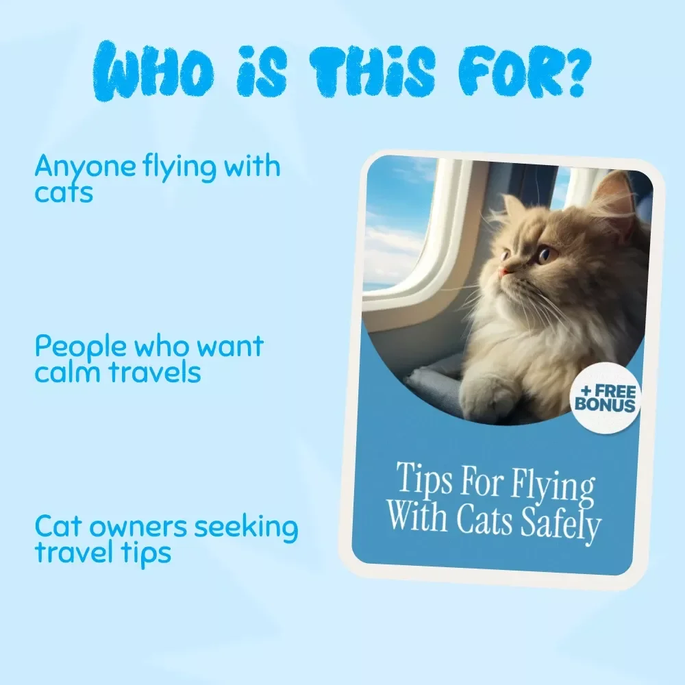 Tips for Flying with Cats Safely: Your Essential Guide for Stress-Free Travel with Cats