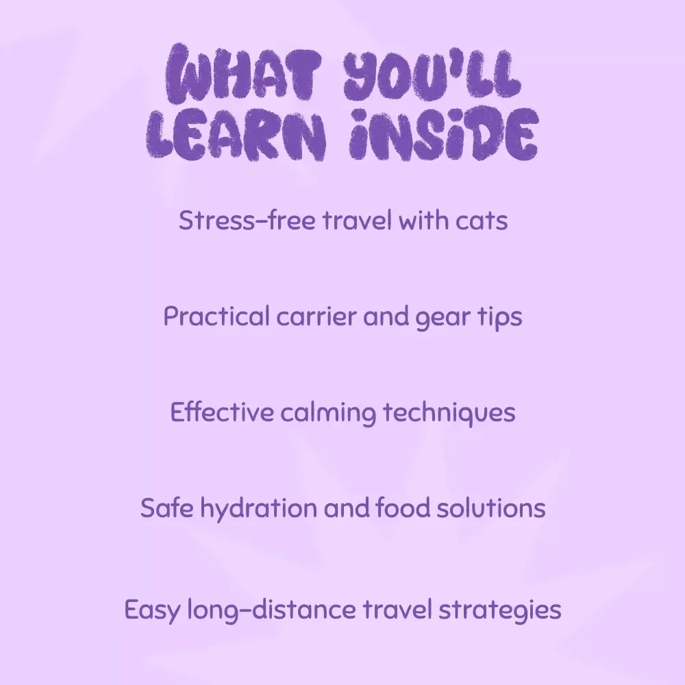 How to Travel with a Cat in the Car - A Complete eBook Guide for Stress-Free Road Trips with Your Feline Companion