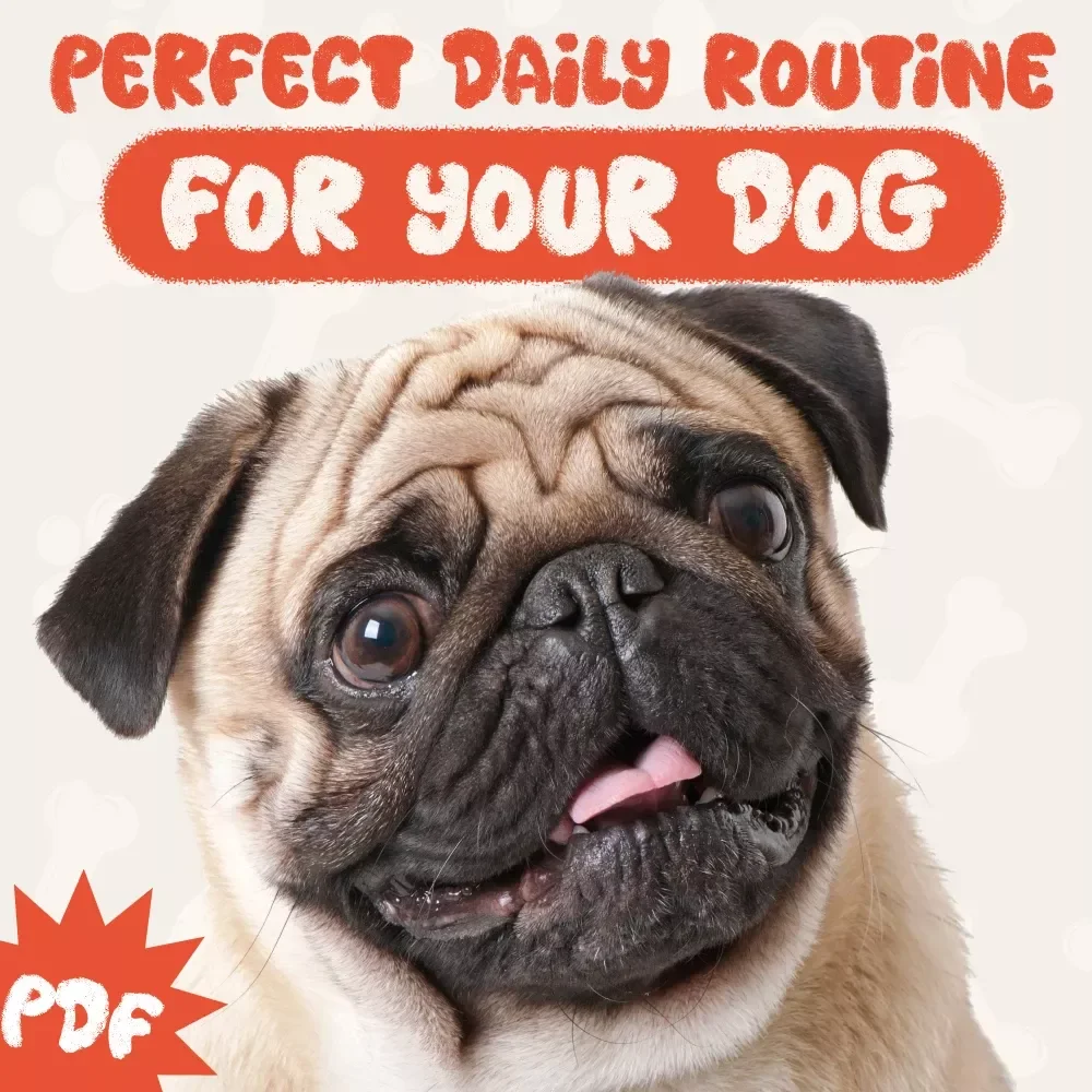 Paws & Plans: Building the Perfect Daily Routine for Your Dog - Dog Care Guide, Routine Planner & Checklist for Pet Owners