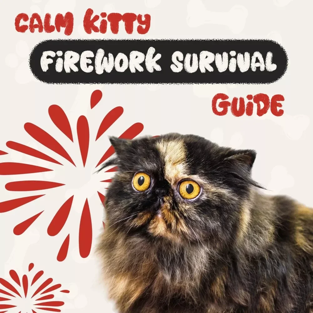 Calm Kitty Firework Survival Guide: A Printable Checklist to Help Your Cat Stay Safe & Calm During Fireworks