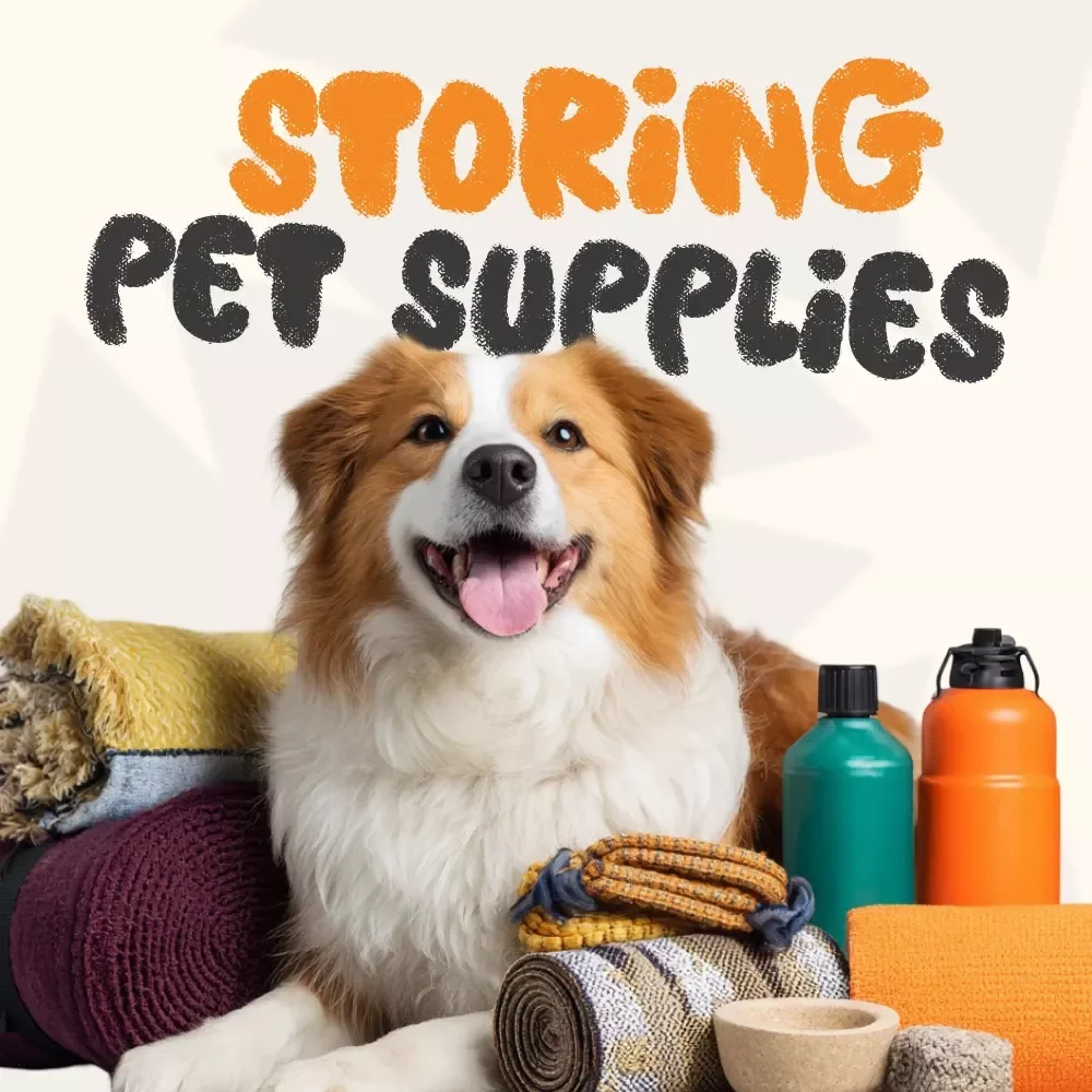 Paw-sitively Organized: Smart Tips for Storing Pet Supplies – Ultimate Guide for Pet Owners