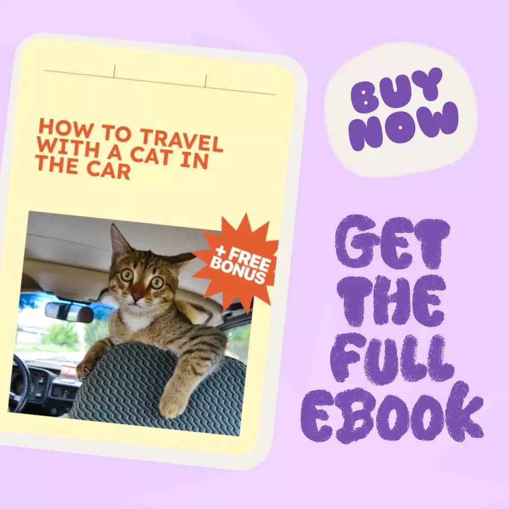 How to Travel with a Cat in the Car - A Complete eBook Guide for Stress-Free Road Trips with Your Feline Companion