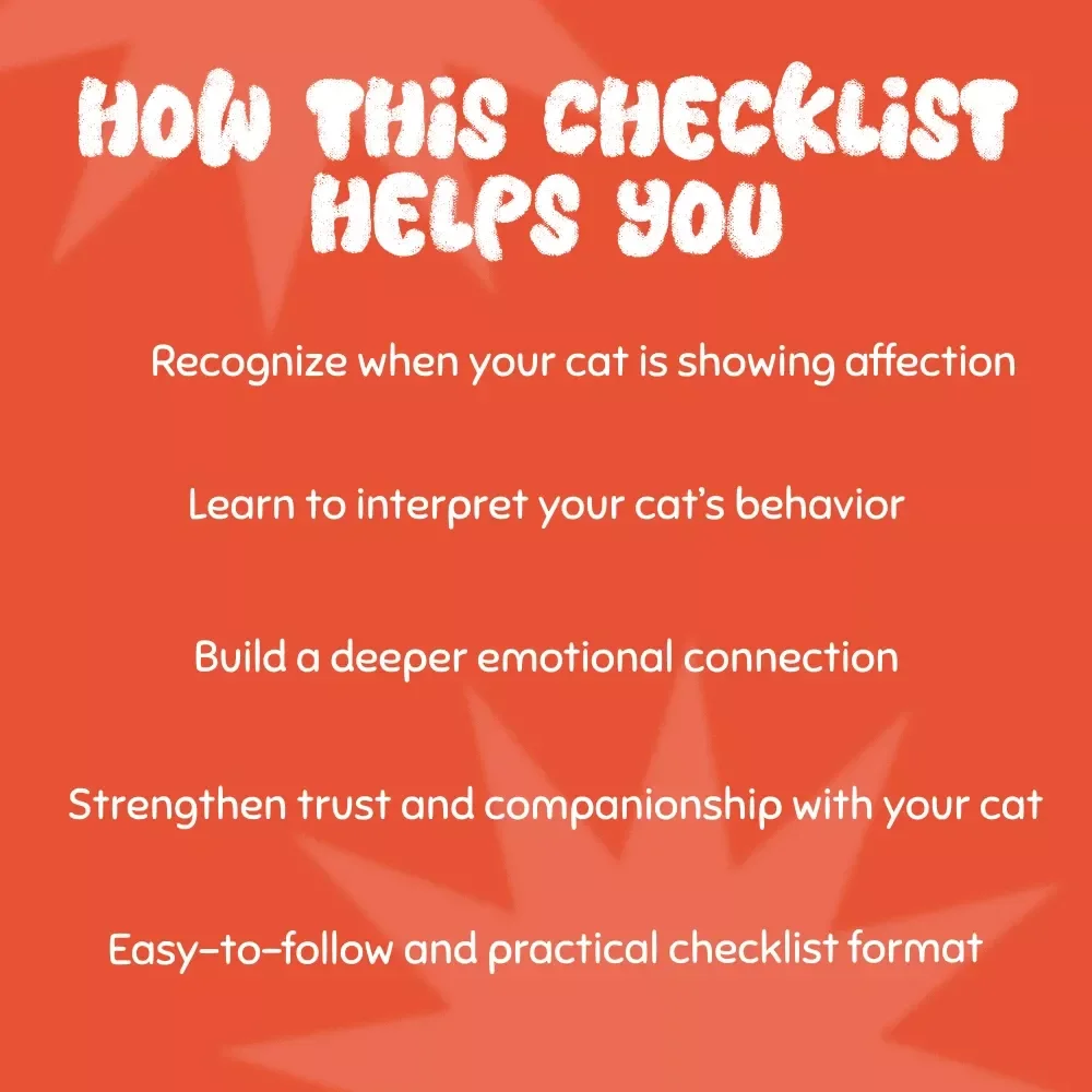 Purr-Fect Love Signals: A Checklist for Understanding Your Cat’s Affection