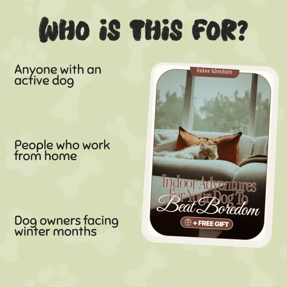 Indoor Adventures for Your Dog to Beat Boredom – eBook for Indoor Dog Fun, Games, and Mental Stimulation