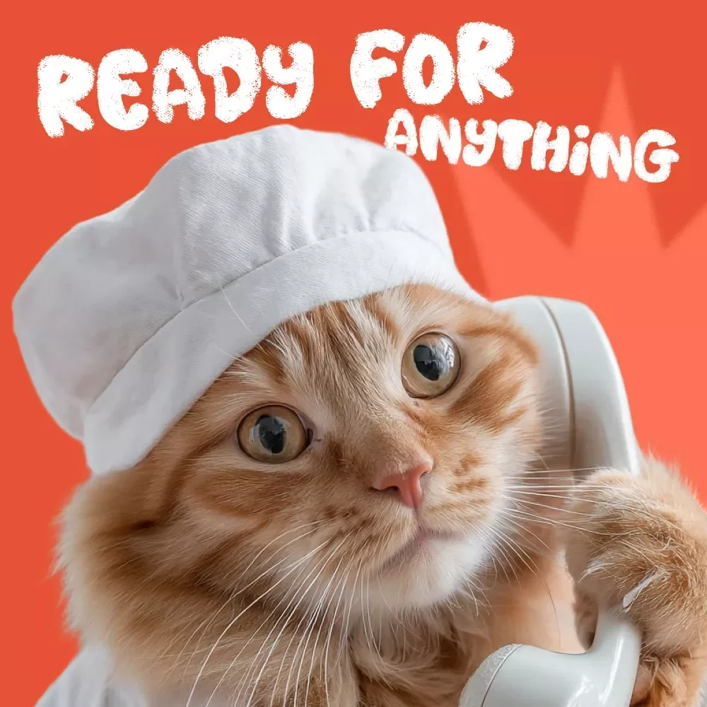 Ready for Anything: Build Your Emergency Pet Plan - eBook Guide for Creating a Pet Emergency Plan