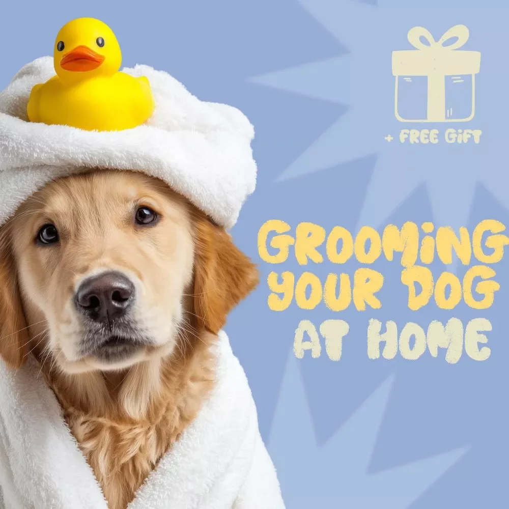 Paws & Shine: The Smart Guide to Grooming Your Dog at Home - Dog Grooming eBook & Checklist for Pet Parents