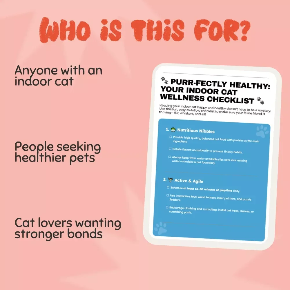 Purr-fectly Healthy: Your Indoor Cat Wellness Checklist - Expert Tips for Keeping Indoor Cats Healthy