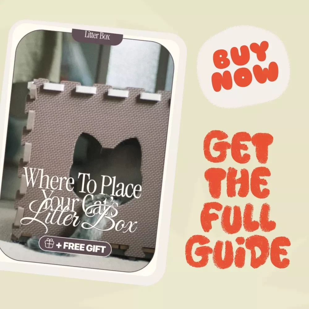 Where to Place Your Cat’s Litter Box: The Ultimate Guide to Optimal Cat Hygiene and Home Harmony