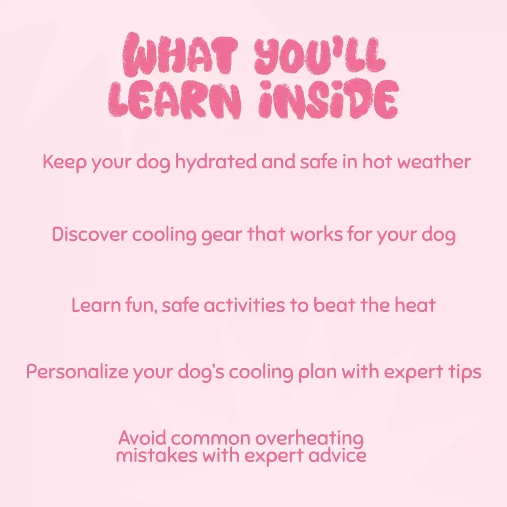 Paws and Cool: Keeping Your Dog Comfortable in Hot Weather - Essential Guide to Summer Safety for Dogs