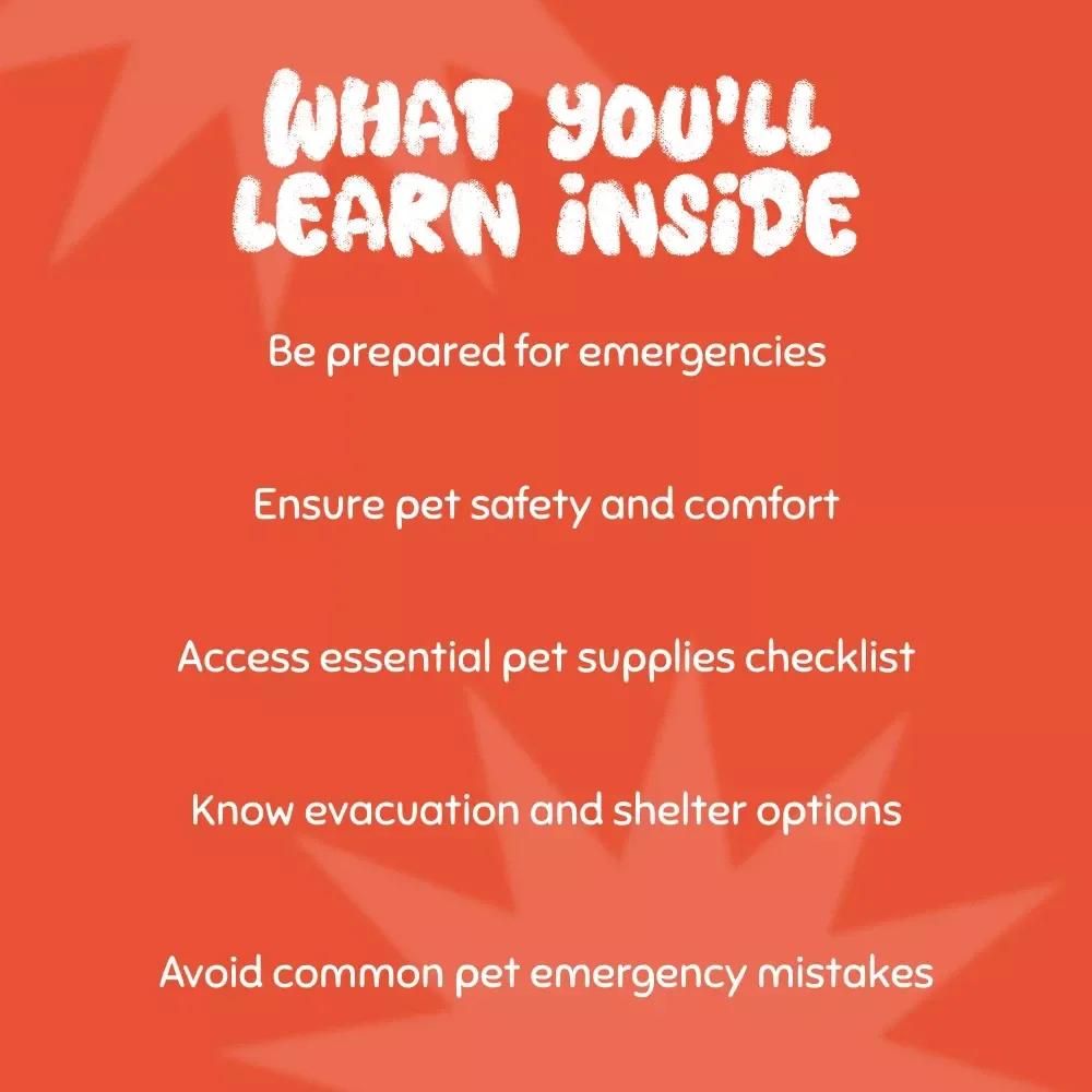 Ready for Anything: Build Your Emergency Pet Plan - eBook Guide for Creating a Pet Emergency Plan