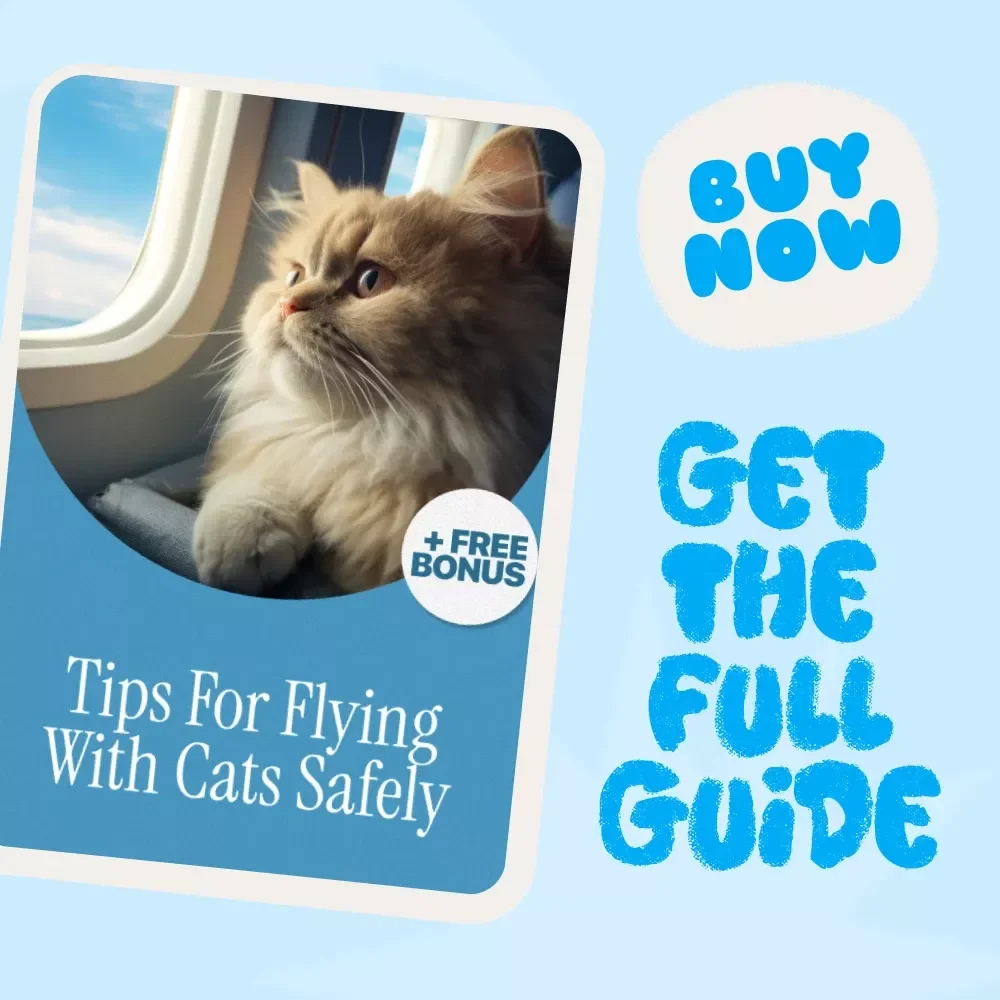 Tips for Flying with Cats Safely: Your Essential Guide for Stress-Free Travel with Cats