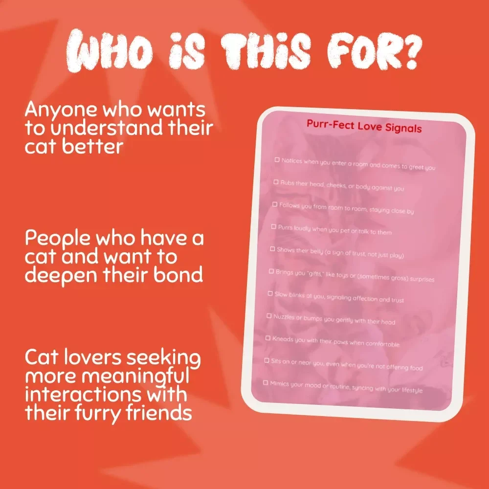Purr-Fect Love Signals: A Checklist for Understanding Your Cat’s Affection