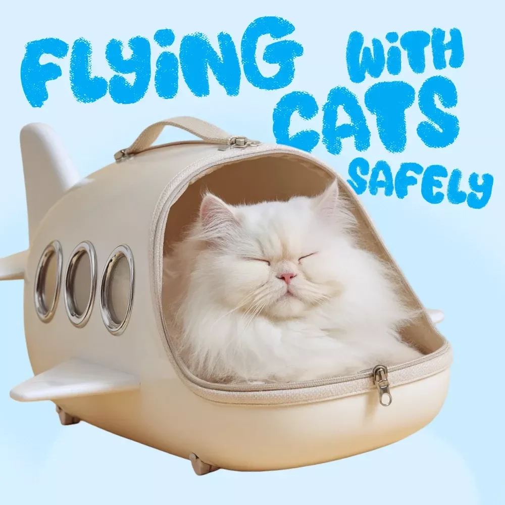 Tips for Flying with Cats Safely: Your Essential Guide for Stress-Free Travel with Cats