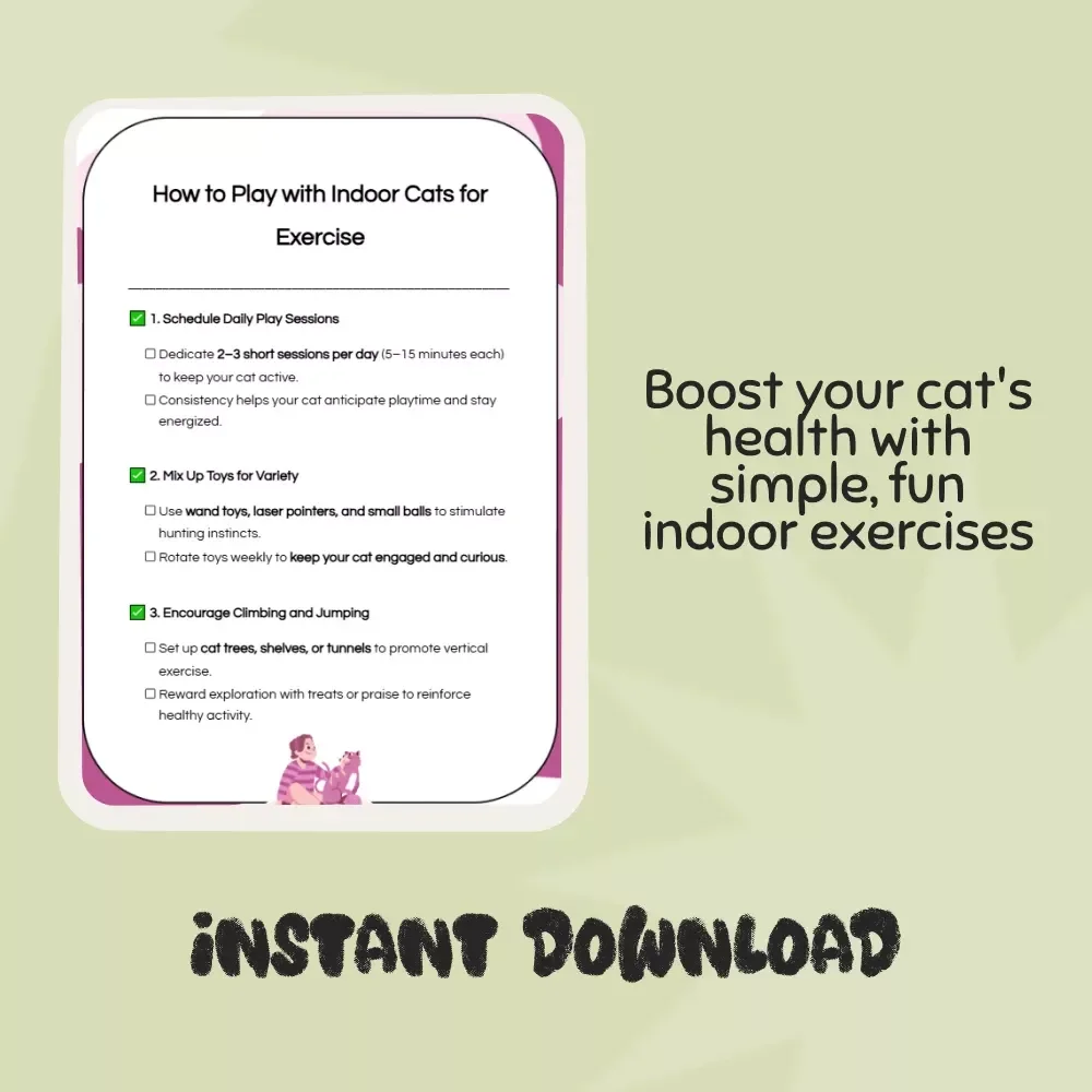 How to Play with Indoor Cats for Exercise: Fun & Easy Checklist to Keep Your Cat Active