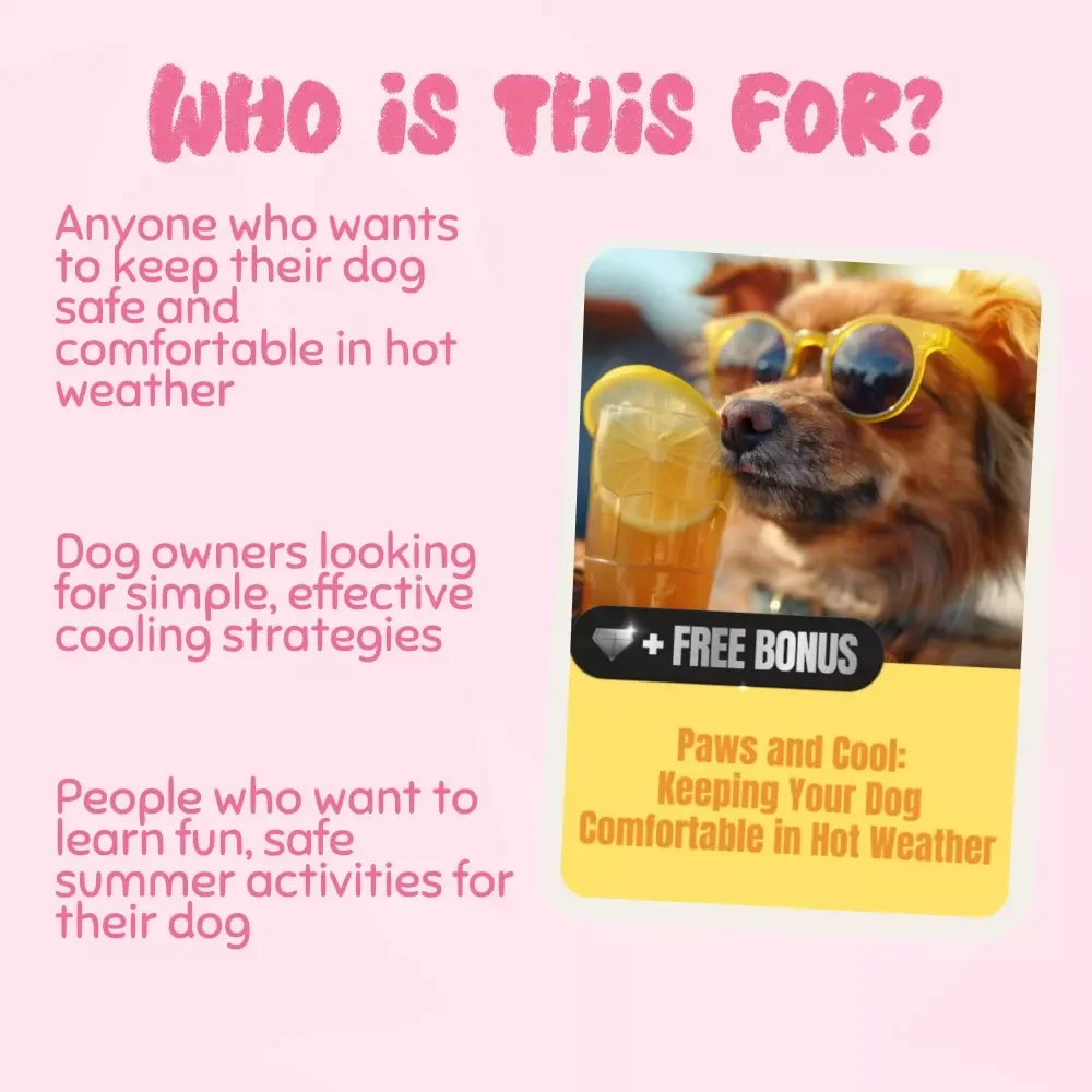 Paws and Cool: Keeping Your Dog Comfortable in Hot Weather - Essential Guide to Summer Safety for Dogs