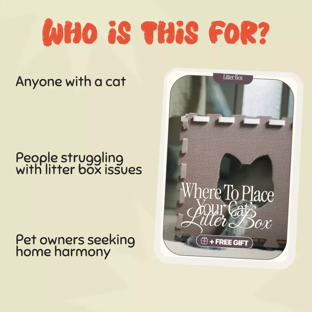 Where to Place Your Cat’s Litter Box: The Ultimate Guide to Optimal Cat Hygiene and Home Harmony