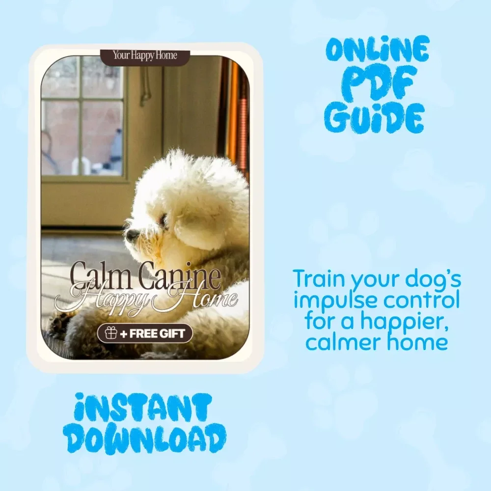 Calm Canine, Happy Home: Tips for Building Impulse Control in Dogs
