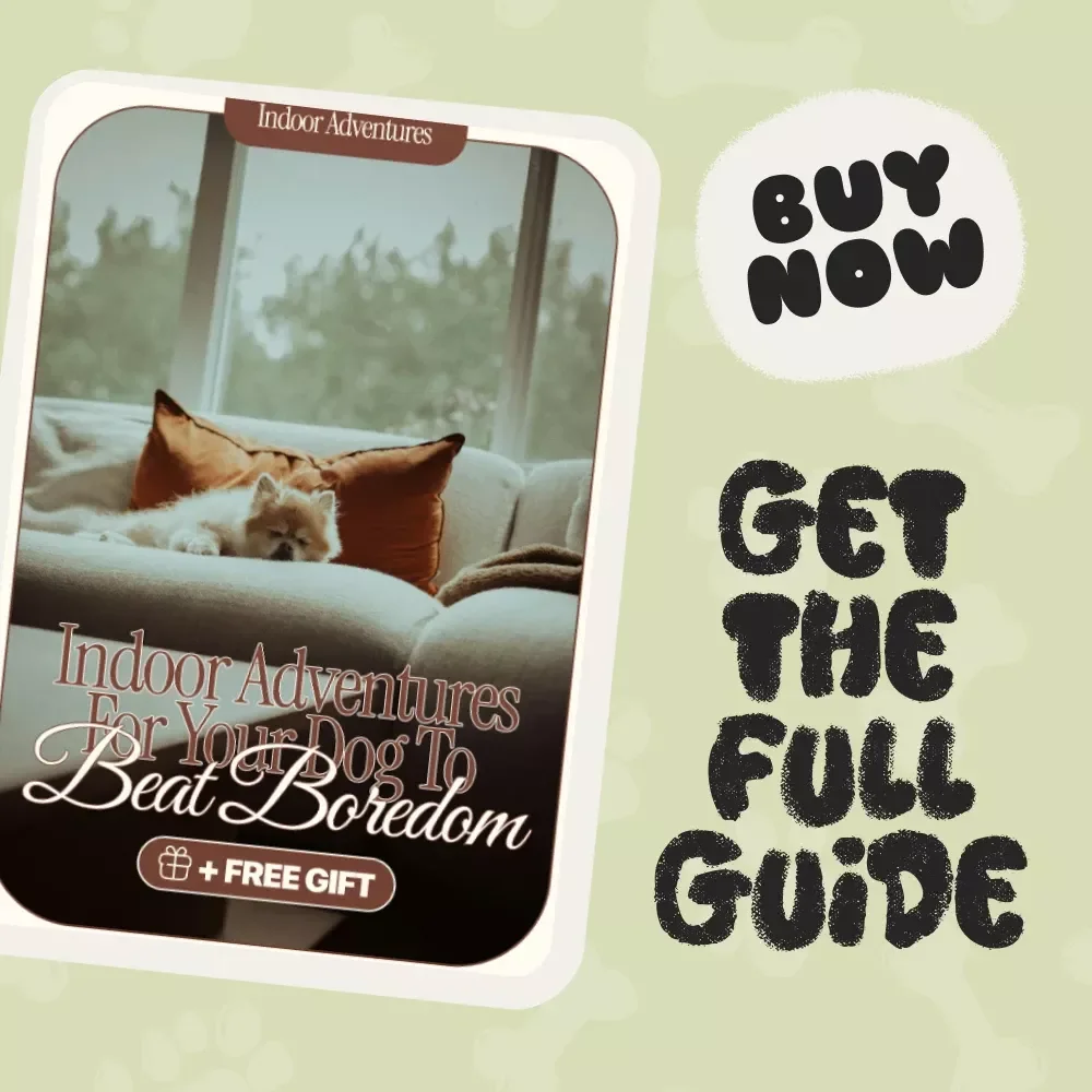 Indoor Adventures for Your Dog to Beat Boredom – eBook for Indoor Dog Fun, Games, and Mental Stimulation