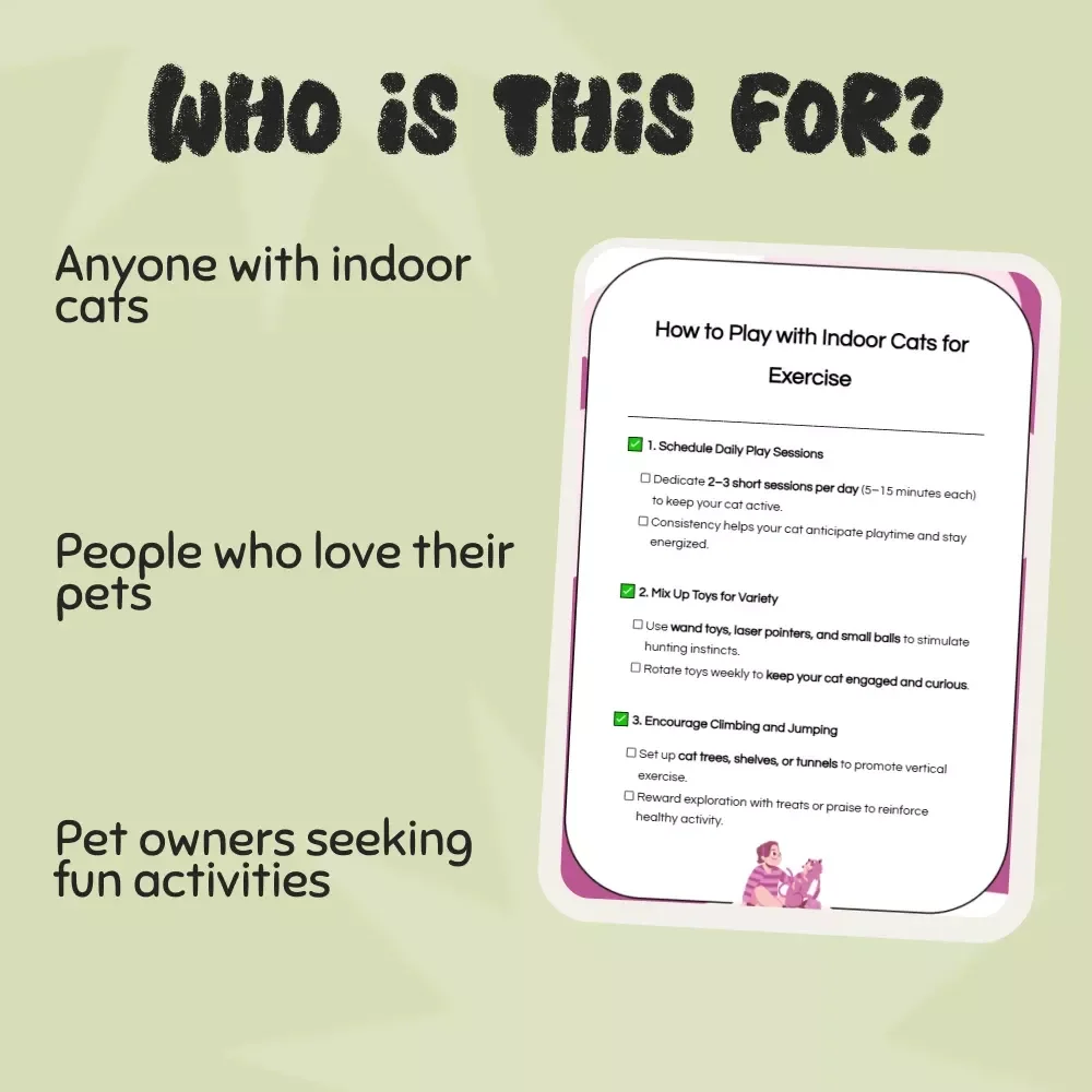 How to Play with Indoor Cats for Exercise: Fun & Easy Checklist to Keep Your Cat Active