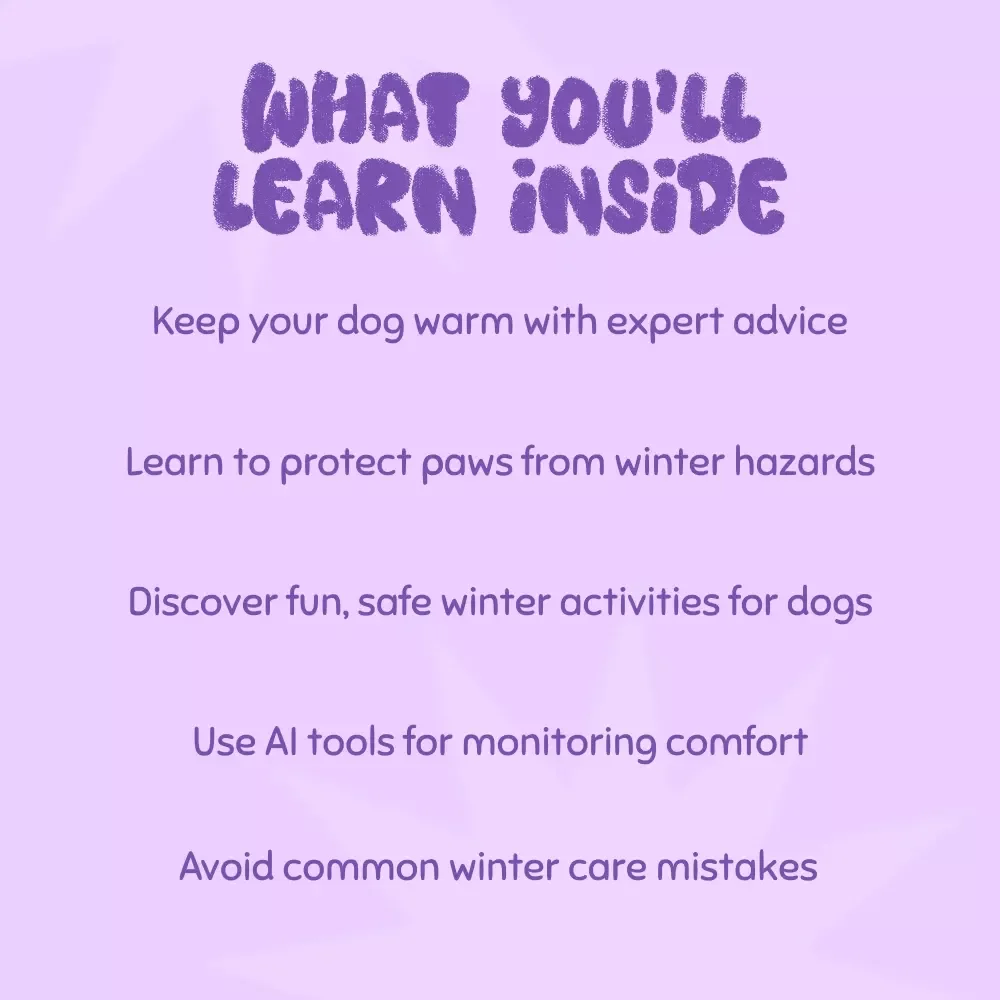 Cozy Paws: Keeping Your Dog Warm and Happy This Winter - Essential Guide for Dog Owners