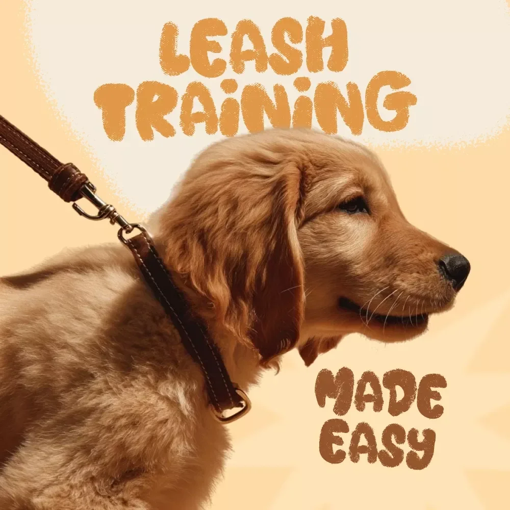 Leash Training Made Easy | Puppy Training Guide for Beginners | How to Train a Puppy to Walk on a Leash with Step-by-Step Methods, AI Prompts & Tips