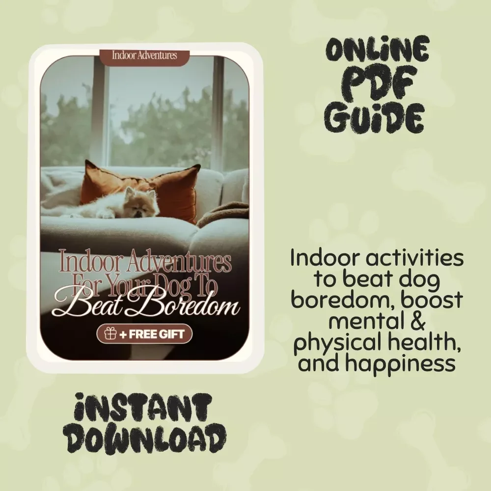 Indoor Adventures for Your Dog to Beat Boredom – eBook for Indoor Dog Fun, Games, and Mental Stimulation