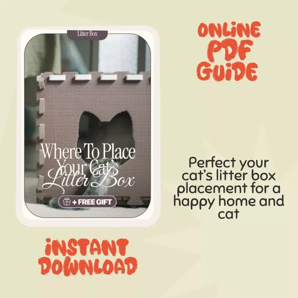Where to Place Your Cat’s Litter Box: The Ultimate Guide to Optimal Cat Hygiene and Home Harmony