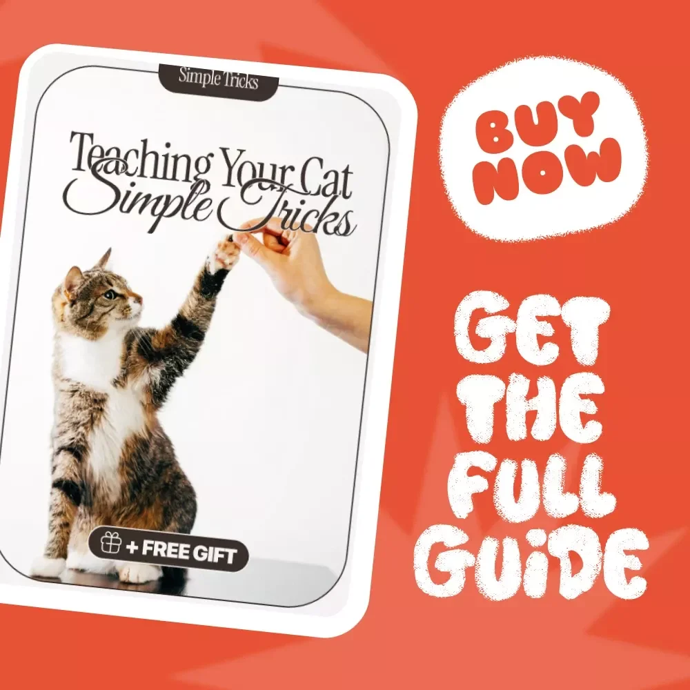 Teaching Your Cat Simple Tricks: A Complete Guide to Teaching Cats Simple Tricks, Tips & Techniques