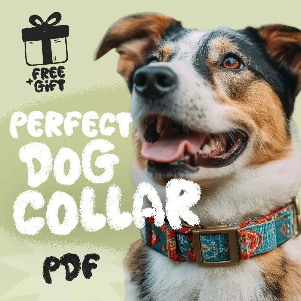 Your Checklist to Picking the Perfect Dog Collar | Printable Guide on How to Choose the Right Collar for Your Dog | Pet Care Digital Download for Dog Owners