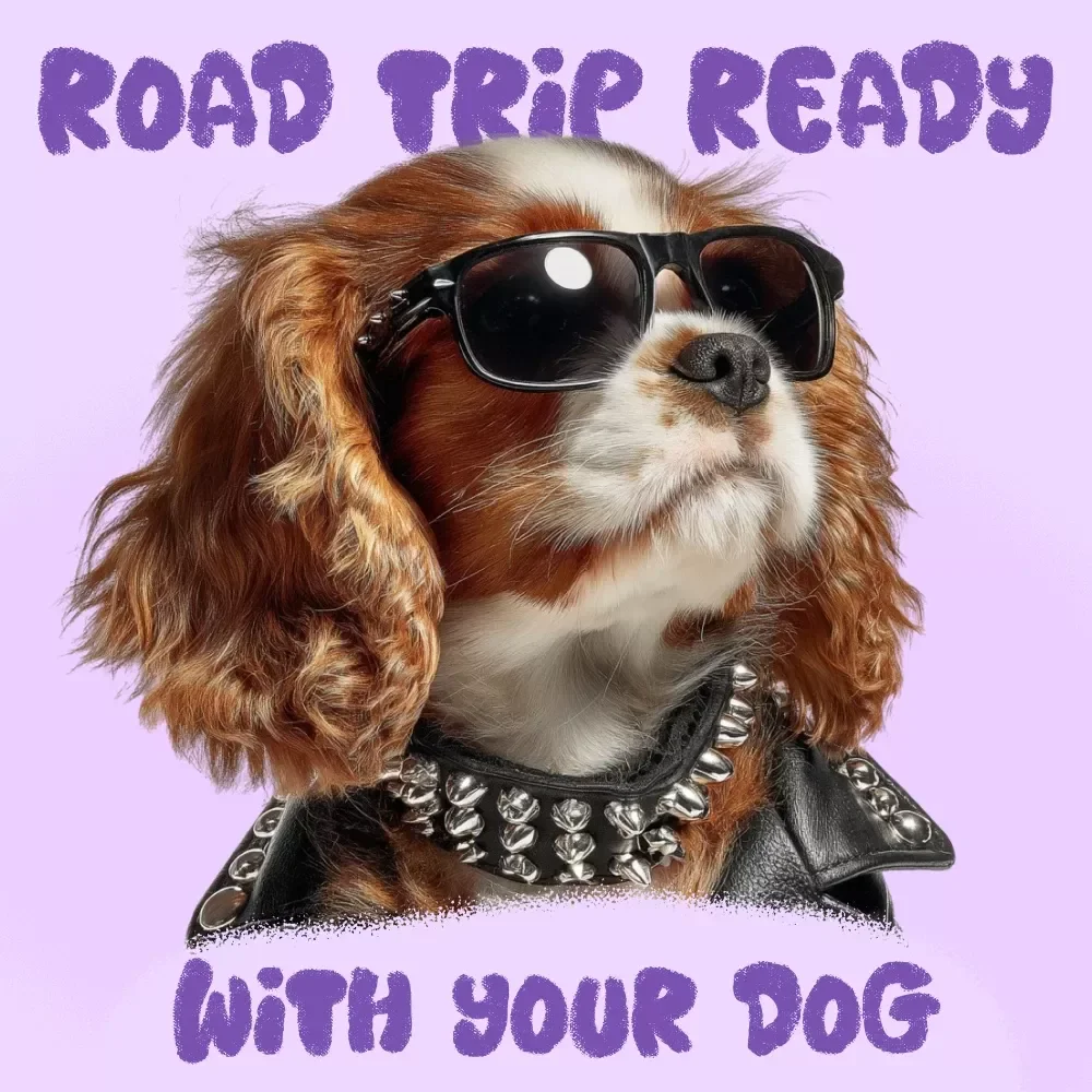 Road Trip Ready with Your Dog: How to Prepare Your Dog for a Long Car Trip eBook Guide