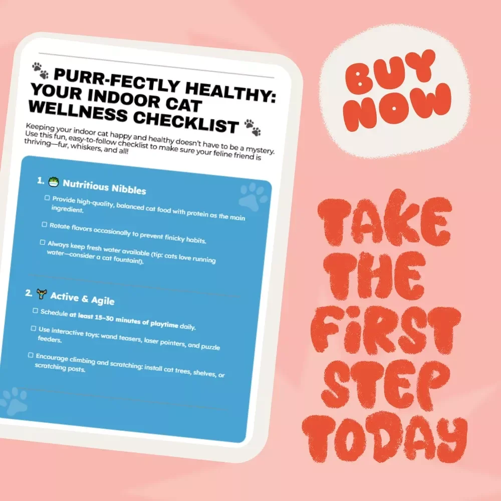 Purr-fectly Healthy: Your Indoor Cat Wellness Checklist - Expert Tips for Keeping Indoor Cats Healthy